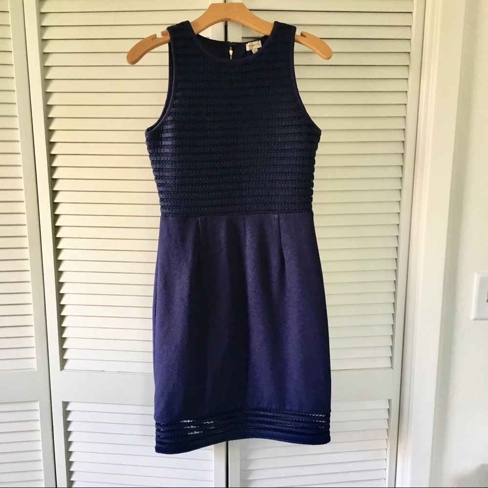 FINAL PRICE Daniel Cremieux Cocktail Dress
